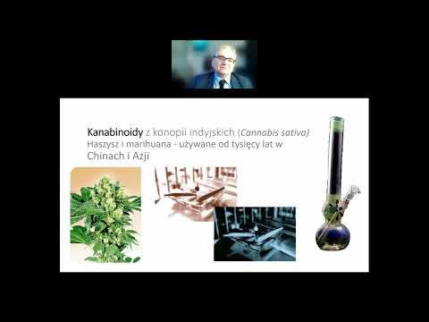 13. Tydzień Mózgu w Poznaniu - 17.03.2022 r. g. 18.00