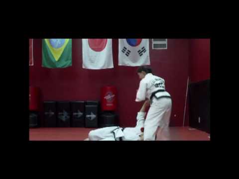 Galvan's Martial Arts TKD