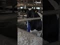 Boer Nico heeft nieuw irrigatiesysteem | RTV Oost