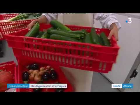 A Wittenheim, l'entreprise Relais Est dispose désormais d'une légumerie