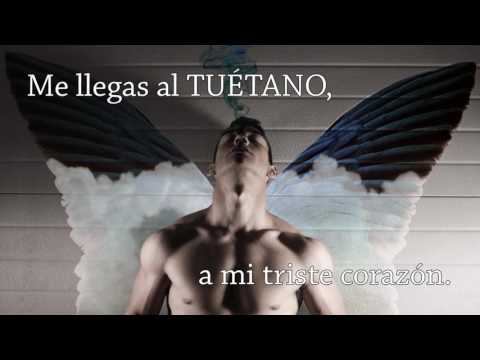 Mis alas - Rees [Inédito 2016]