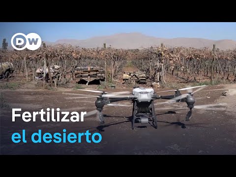 Inteligencia Artificial para cultivar en Atacama