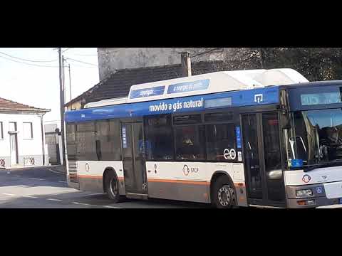 STCP NO LINHA 805 VEÍCULOS 3184 e 3185