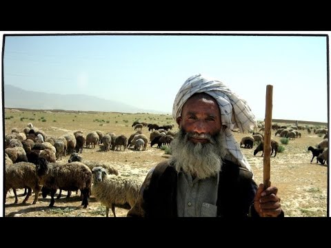 Der Prophet Mohammed gibt zu- Jesus ist Gott der Hirte