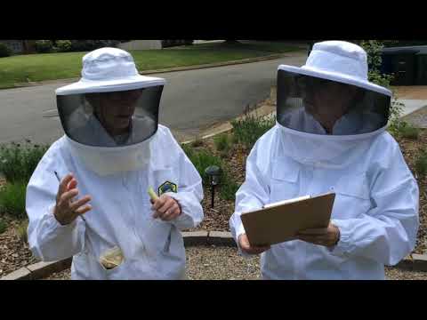 Beekeeper video