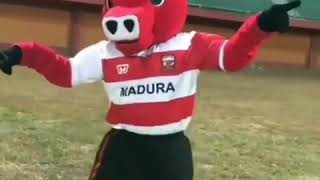 Download lagu Story WA || MADRUDJI ||MADURA UNITED || MADURA HARGA DIRI KAMI🤘 mp3