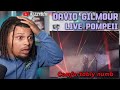 WHAT DID I WITNESS David Gilmour Comfortably Numb Live At Pompeii