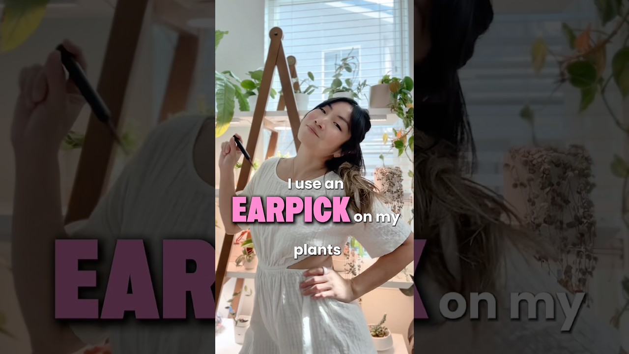 I use an EARPICK on my PLANTS?! #shorts #plants #philodendron #houseplants #indoorplants #plantcare