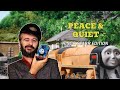Peace Quiet Ringo Starr Edition