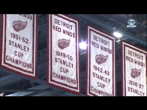 Wingspan 13-14: Hockeytown Forever