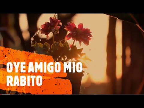 OYE AMIGO MÍO/Rabito LETRAS