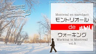 【モントリオール】カナダの冬、自然いっぱいの公園をただただ散歩してみた | Walking in a huge park in Montreal, Canada