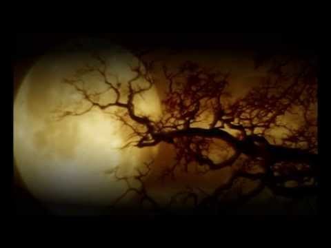 Ingrida Ru - Vieniša širdis (Official video)