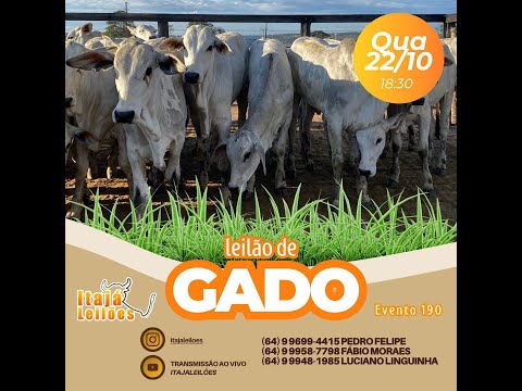 LEILÃO DA ITAJÁ LEILÕES