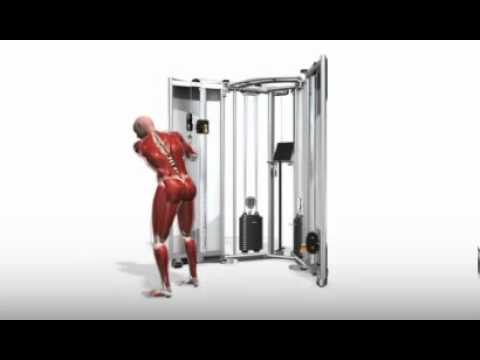 Bodybuilding Übungen- Golf Swing W TQGC Golf Club Handle   -  www.Hilfe-Forum.eu