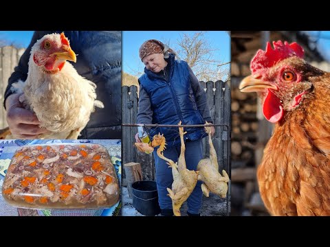 How to Make Romanian Chicken Jello: A Unique and Delicious Recipe