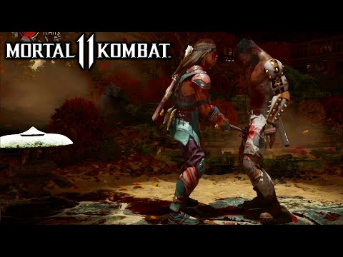 The Best Nightwolf Brutality - Mortal Kombat 11 Nightwolf Gameplay Daryus P