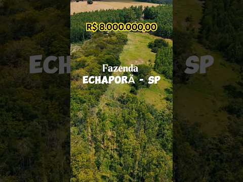 Fazenda à venda em Echaporã/SP 🚜57 alqueires | Região Assis/Marília | Excelente logística #Echaporã