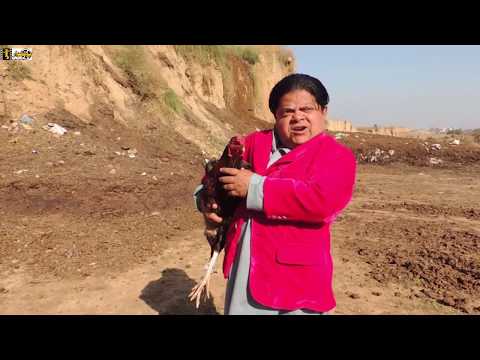 Rolla Murgay ka - shahzada Ghaffar funny clips - Pothwari Drama 2019 - Part 6