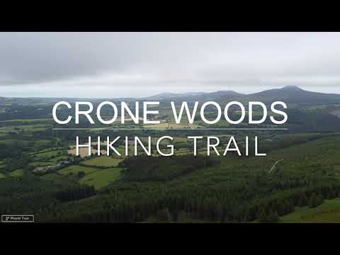 Crone Woods Hiking Trail and Powerscourt Waterfall - Wicklow Ireland
