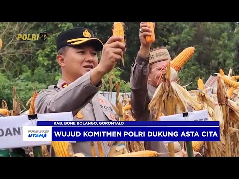KAPOLRES BONE BOLANGO PANEN RAYA JAGUNG DI DESA ULANTHA