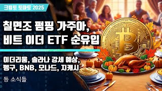 11/27) 칠면조 펌핑 가주아,비트 이더 ETF 순유입 이더리움, 솔라나 강세 예상,펭구, BNB, 모나드, 지캐시