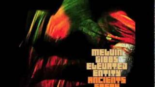 Melvin Gibbs' Elevated Entity- Mojuba feat: Amayo and John Medeski