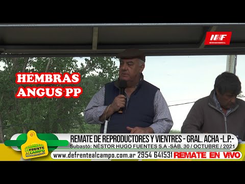 REMATE de REPRODUCTORES y VIENTRES -SECCIÓN: VIENTRES -PP- SUBASTÓ: NÉSTOR HUGO FUENTES S.A. -