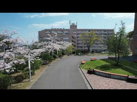 キャンパスと桜＃３