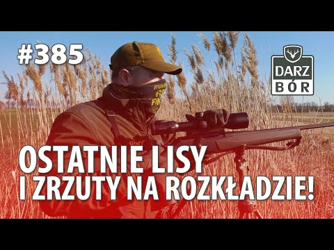 Darz Bór odc. 385 - Ostatnie lisy i zrzuty na rozkładzie!