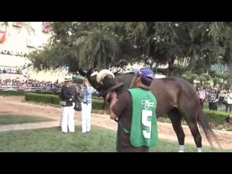 Zenyatta Vanity Handicap 2010- part 1