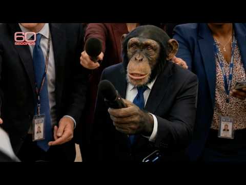 "60 SECONDS" - Trump on Korea (SATIRE)