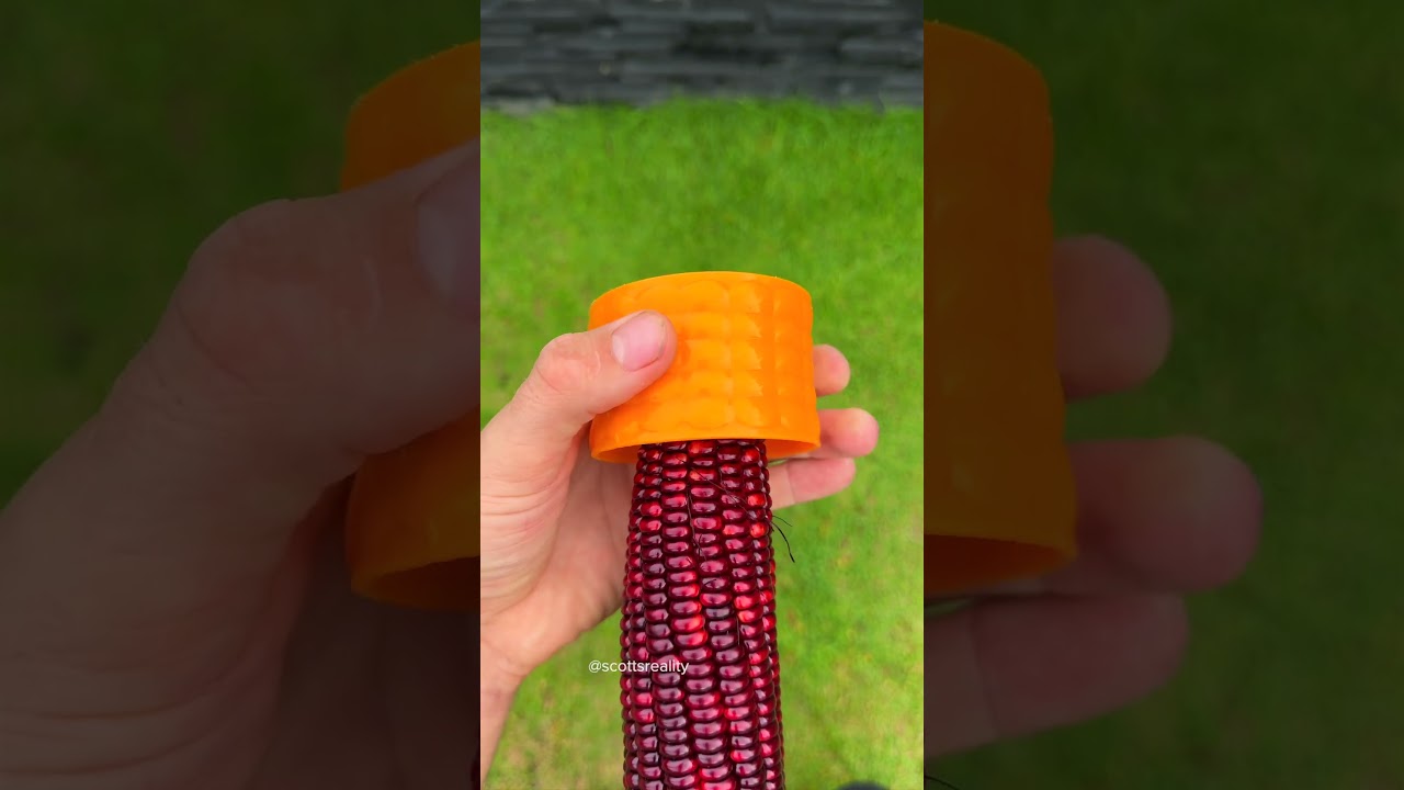 How to peel corn 🌽 in 0.09 seconds 😳
