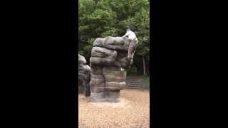 preview picture of video 'Clifton Country Park Boulder'