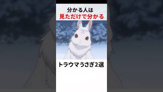 分かる人は見ただけで分かるトラウマうさぎ2選　#リゼロ #おすすめアニメ #トラウマ