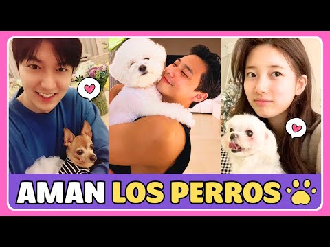 🐶💖 8 ACTORES COREANOS y sus ADORABLES PERROS | Compañeros inseparables 🐾✨