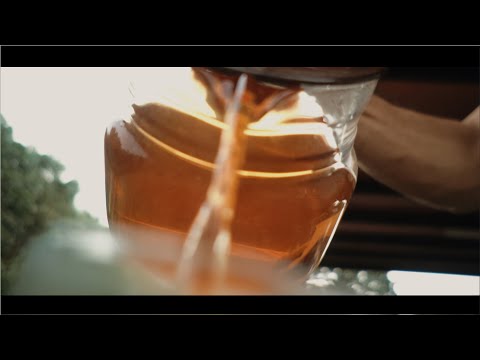PETANG - Cinematic B-Roll Tea _ Sony A6400 + Sony 16mm 2.8