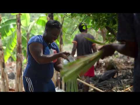 Nous, gens de la terre - Mayotte / Extrait