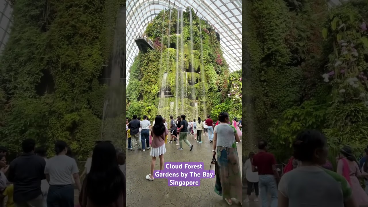 YouTube Short thumbnail