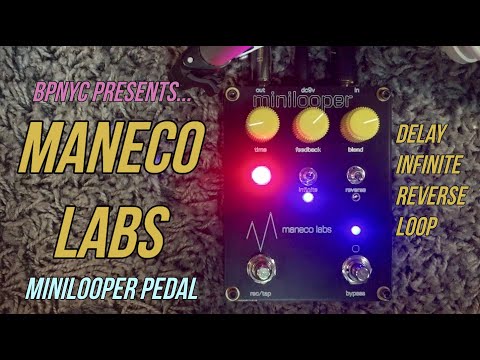 Maneco Labs minilooper image 13