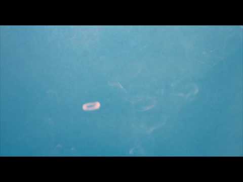 Frills - My Love (audio)