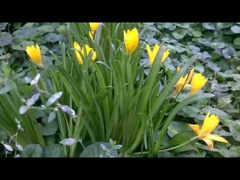 download lagu mp3 mp4 Mein Feld Ist Die Welt, download mp3 Mein Feld Ist Die Welt free download mp3, download mp3 Mein Feld Ist Die Welt