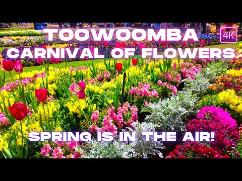 Toowoomba Carnival of Flowers | Queen's Park Walking Tour | Brisbane Day Trip | 4K 60fps