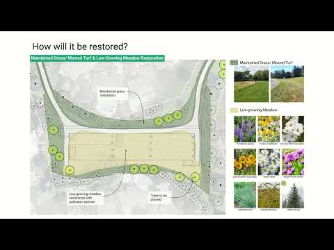 3. Idlewood Greenway Pre-construction - Restoration Plan