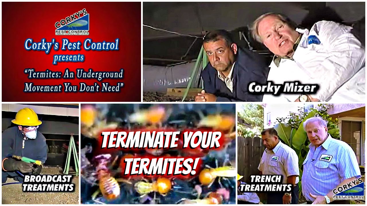Subterranean Termites - 3 Types of Treatment
