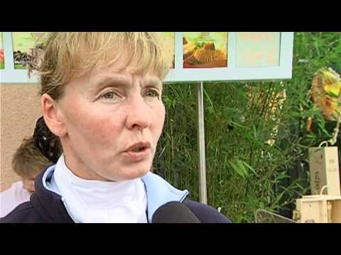 Willkommen auf Gestüt Bon Homme