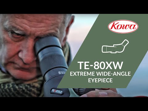 Kowa TE-80XW 80 Degree Extreme Wide Angle Eyepiece