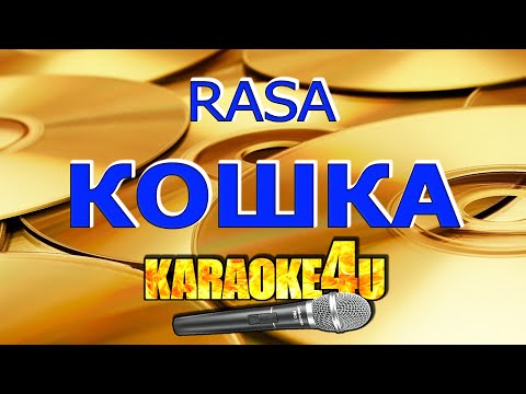 RASA | Кошка | Караоке (Кавер минус)