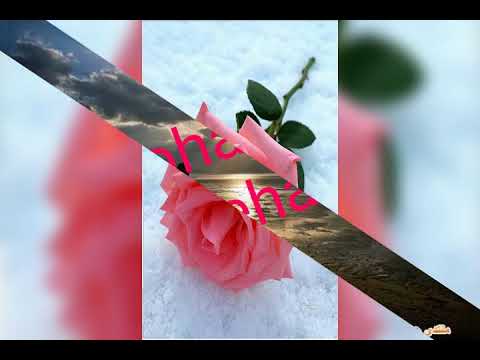 ميادة الحناوي . كبريائي