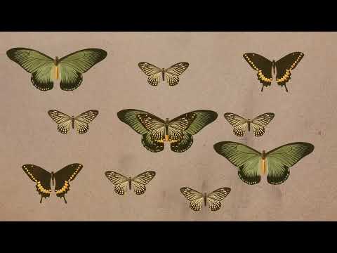 Sam Luck, NRONE, Alessia Labate – I Want My Heart Back